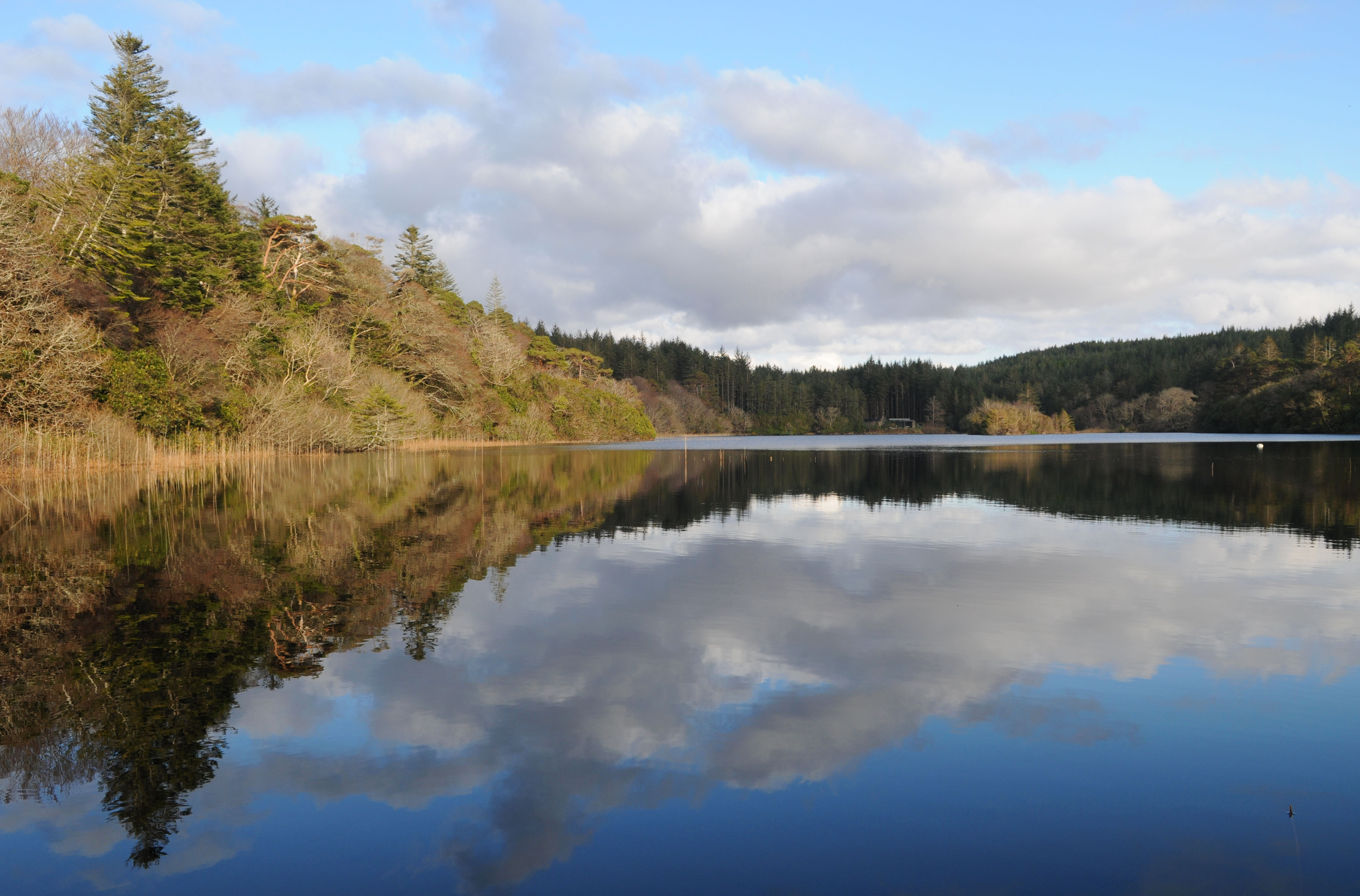 Ballynahinch Castle Grounds Connemara